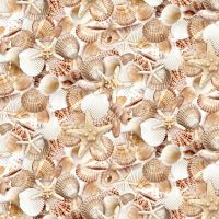 ttBEACH-CD3973 SHELL